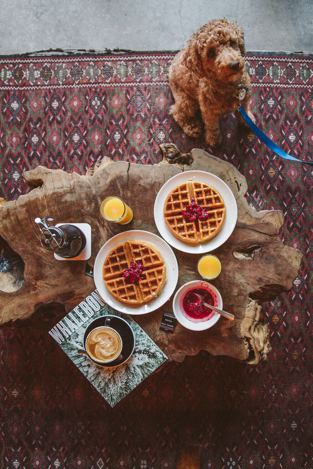 A breakfast spread on a wooden table with a dog sitting nearby.